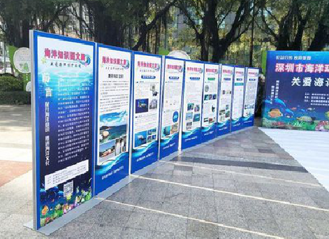 大姚KT板的种类和知识。